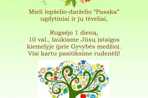2020-08-26_12-21_rugsejo_11