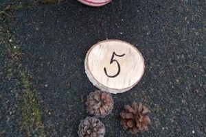 123876087_3318227111565760_7695980585335559384_n