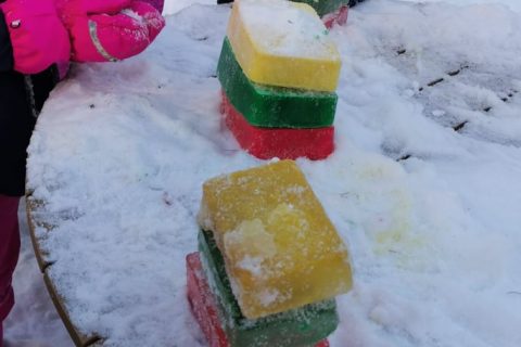 150105257_203166934830217_3449040749936018955_n