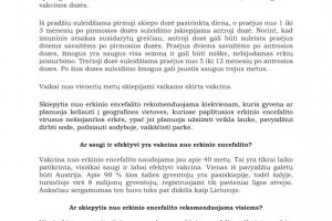 erkinis-encefalitas-12