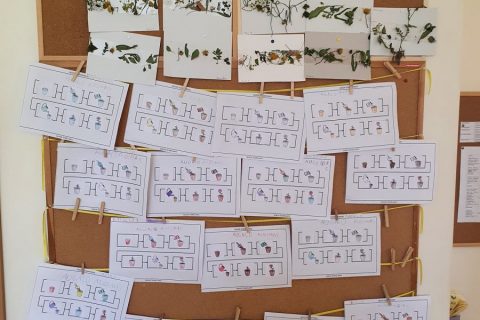 344770895_1416643185836866_5033724482950019552_n